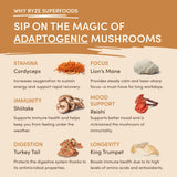 Mushroom Overnight Oats (14 Servings) G6