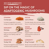 Mushroom Chai — Organic Instant Chai with Reishi & Organic Black Tea, 20 Servings G0