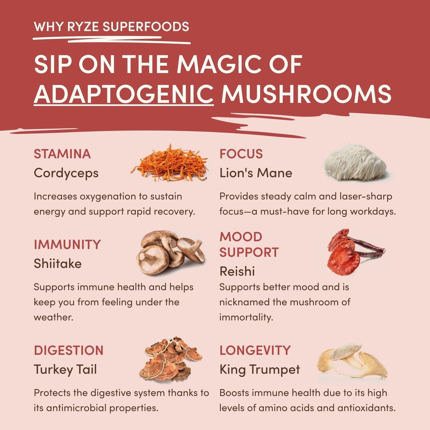 Mushroom Chai — Organic Instant Chai with Reishi & Organic Black Tea, 20 Servings G0