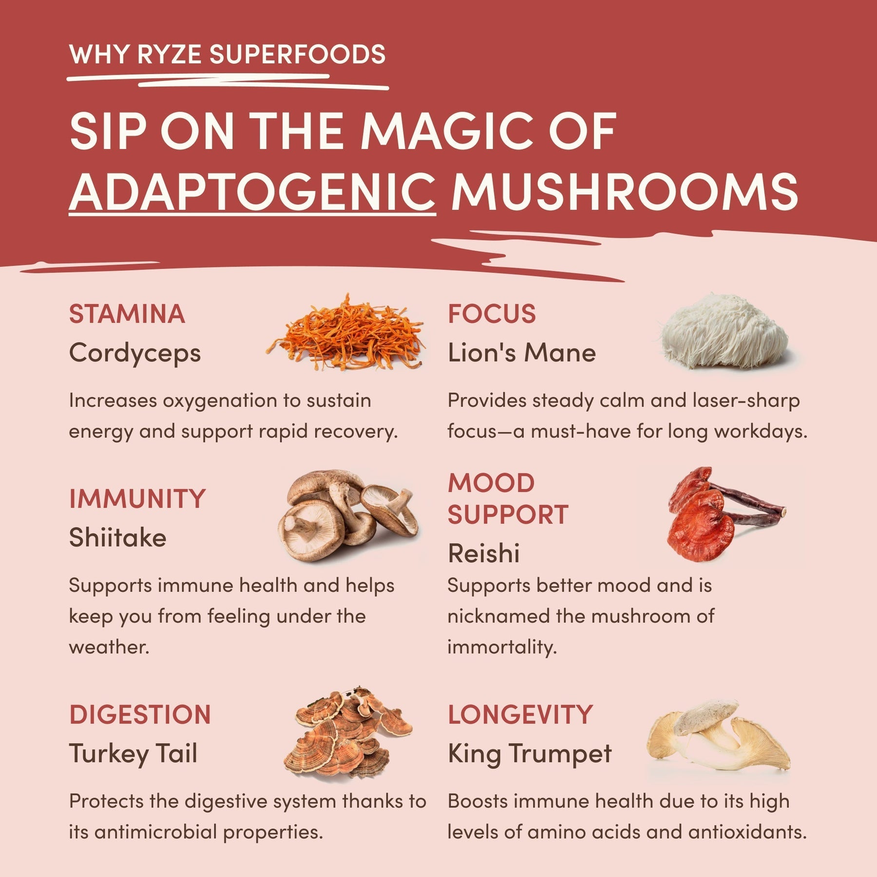 Mushroom Chai — Organic Instant Chai with Reishi & Organic Black Tea, 20 Servings G0