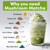 Organic Mushroom Matcha Starter Kit (60 servings) Q4