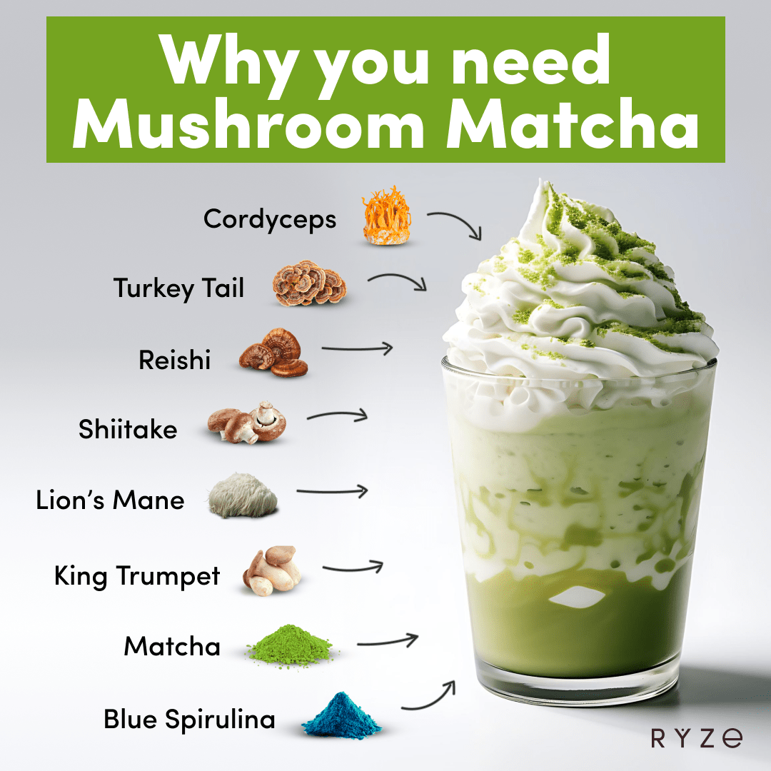 Organic Mushroom Matcha Starter Kit (60 servings) Q4
